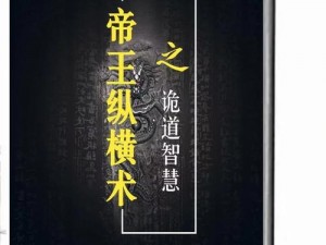 《术士秘术宗师之城：探索与发展的智慧心得》