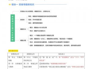 细胞分裂知识揭秘：设计新视角下的裂变世界探究