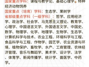 《深入解析：请出示文件——全方位图文攻略指南》