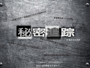 《绝密追踪：杀手5赦免——寻找Lenny笔记本的秘密之旅》