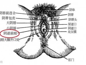 男朋友每次啪啪进去后就软了-男朋友每次啪啪到一半就软了，这是为什么？