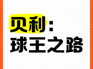 球王之路：探寻最强职业选择——球员魅力与实力大比拼