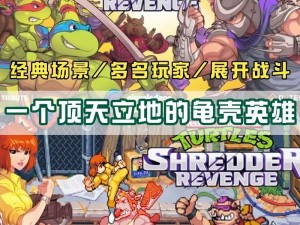 忍者神龟施莱德的复仇Switch与Steam平台价格解析及购买指南