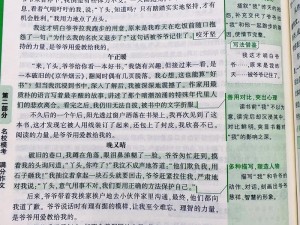 体育老师把渺渺 C 了一节课作文：提升写作能力的秘密武器