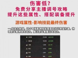 DNF战斗升级宝典：深度解析如何快速提升角色伤害值的有效方法