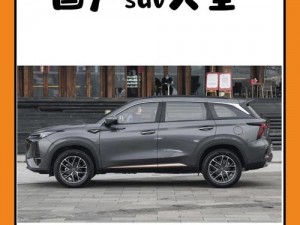 国产 SUV 精二区 69，时尚外观与豪华配置的完美融合