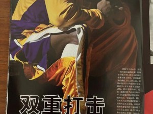 《NBA 2003：全面解析与深度掌握的操控技巧宝典》