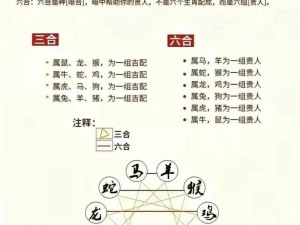 一体六交是哪 6 个地方？为什么要了解它们？如何找到它们？