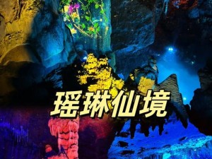 仙踪林视频最新入口_仙踪林视频最新入口：探寻神秘仙境的绝佳途径