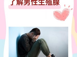 男男生子图——零风险的男性生育方案