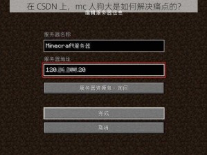 在 CSDN 上，mc 人狗大是如何解决痛点的？