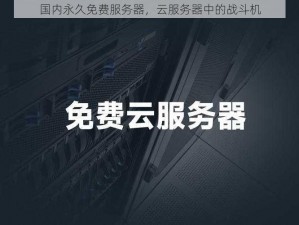 国内永久免费服务器，云服务器中的战斗机