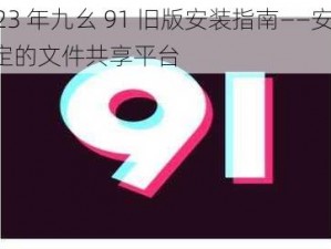 2023 年九幺 91 旧版安装指南——安全、稳定的文件共享平台