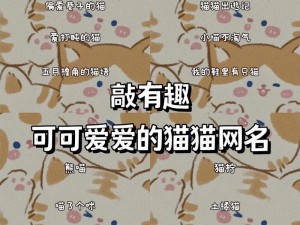 新版猫咪地域网名——让你的猫咪成为网络世界的明星