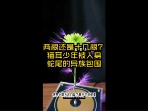 两根还是十几根你自己选,两根还是十几根？你自己选