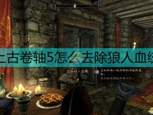 《上古卷轴5：天际》狼人吸血鬼BUG全面解决方案：深度解析与修复策略