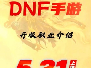 DNF安卓手机版更新验证错误全面解析与解决指南