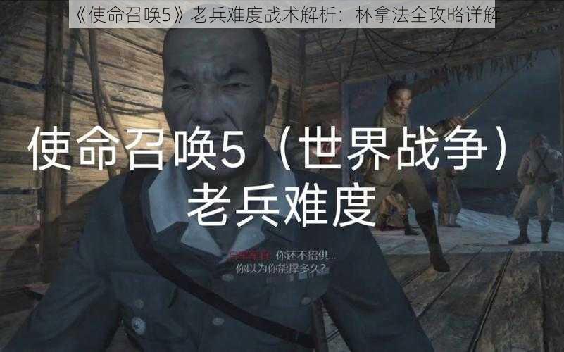 《使命召唤5》老兵难度战术解析：杯拿法全攻略详解