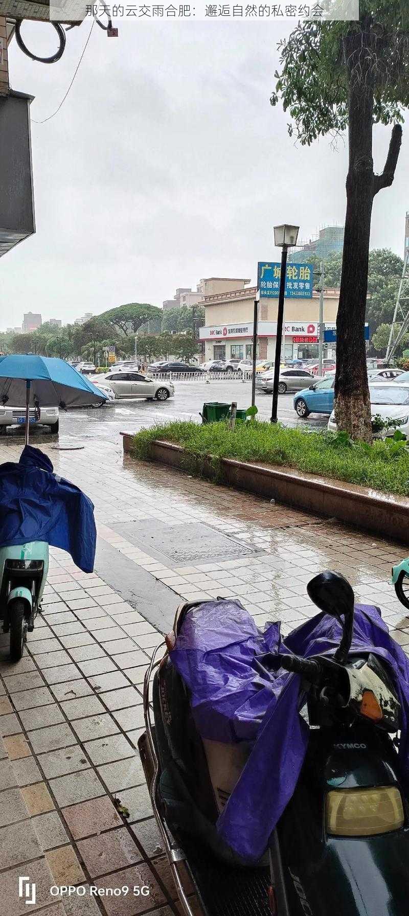 那天的云交雨合肥：邂逅自然的私密约会