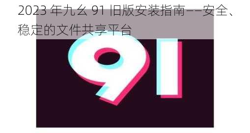 2023 年九幺 91 旧版安装指南——安全、稳定的文件共享平台