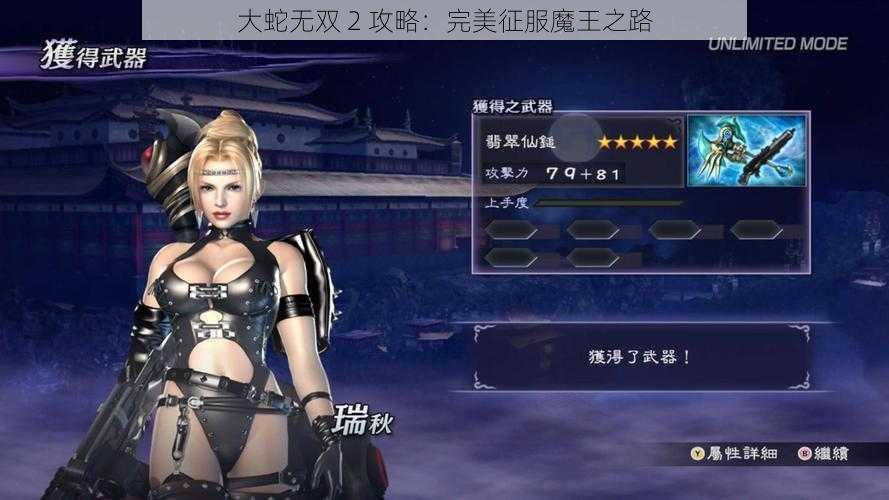 大蛇无双 2 攻略：完美征服魔王之路