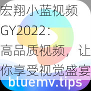 宏翔小蓝视频 GY2022：高品质视频，让你享受视觉盛宴