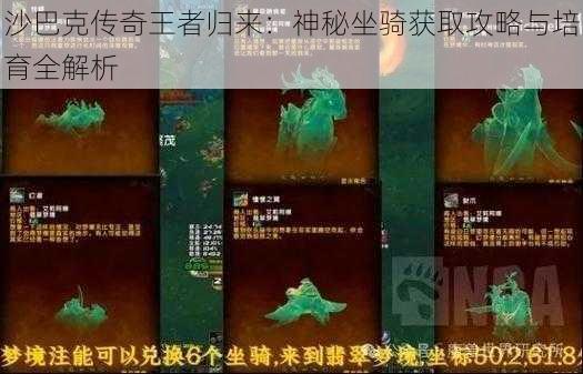 沙巴克传奇王者归来：神秘坐骑获取攻略与培育全解析