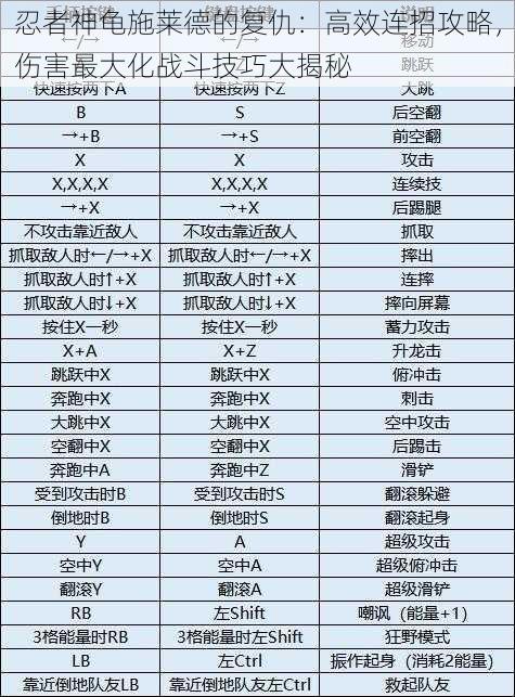 忍者神龟施莱德的复仇：高效连招攻略，伤害最大化战斗技巧大揭秘