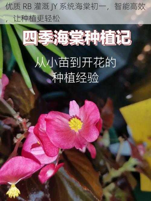 优质 RB 灌溉 JY 系统海棠初一，智能高效，让种植更轻松