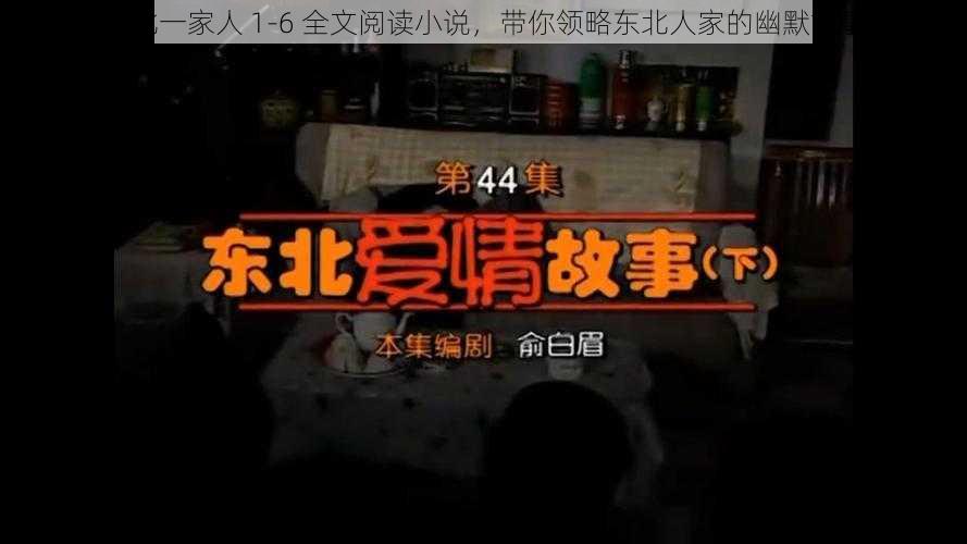 东北一家人 1-6 全文阅读小说，带你领略东北人家的幽默故事