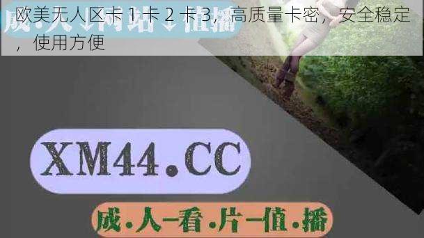 欧美无人区卡 1 卡 2 卡 3，高质量卡密，安全稳定，使用方便