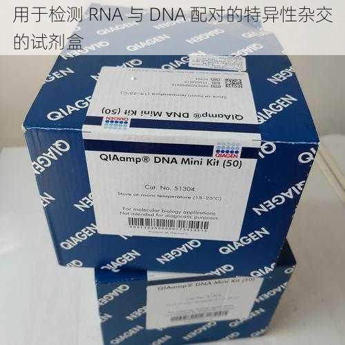 用于检测 RNA 与 DNA 配对的特异性杂交的试剂盒