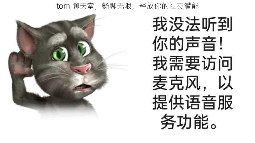 tom 聊天室，畅聊无限，释放你的社交潜能