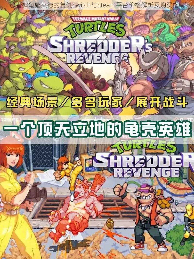 忍者神龟施莱德的复仇Switch与Steam平台价格解析及购买指南