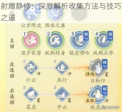 射雕静修：深度解析收集方法与技巧之道