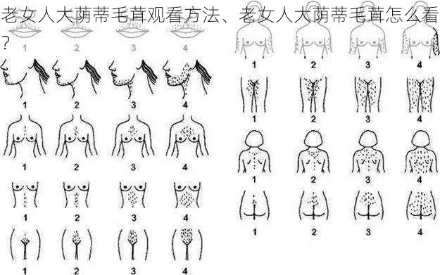 老女人大荫蒂毛茸观看方法、老女人大荫蒂毛茸怎么看？