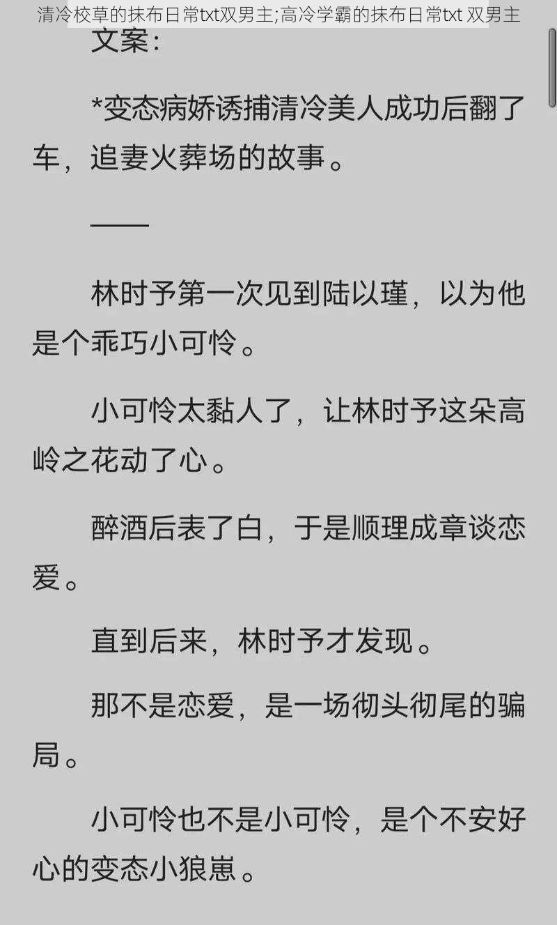 清冷校草的抹布日常txt双男主;高冷学霸的抹布日常txt 双男主