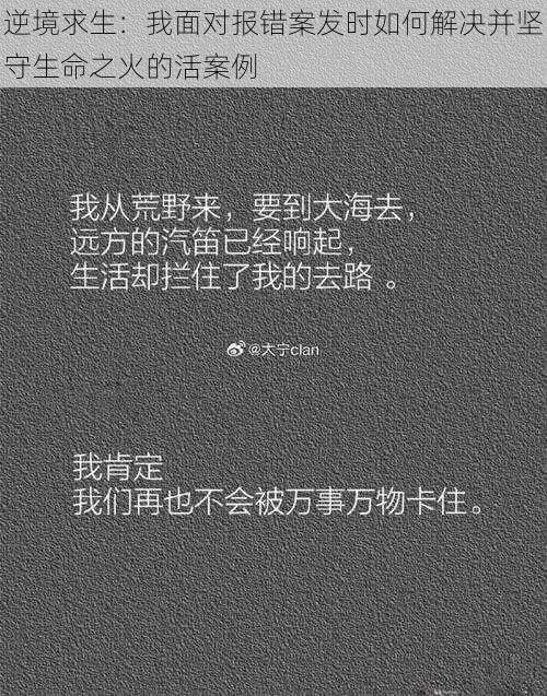 逆境求生：我面对报错案发时如何解决并坚守生命之火的活案例