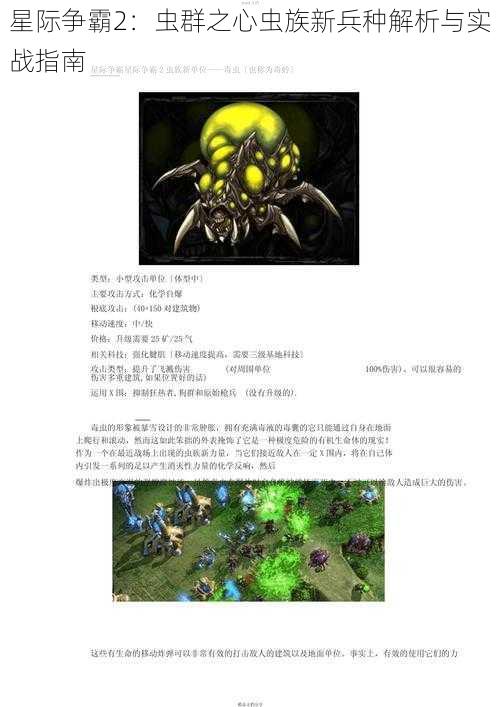 星际争霸2：虫群之心虫族新兵种解析与实战指南