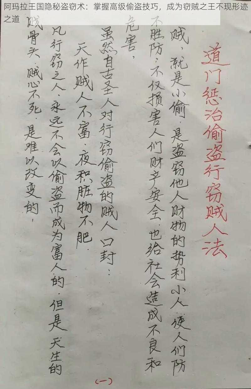 阿玛拉王国隐秘盗窃术：掌握高级偷盗技巧，成为窃贼之王不现形迹之道