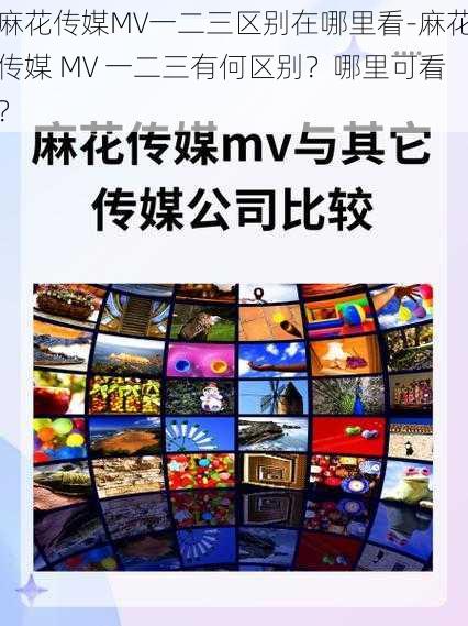 麻花传媒MV一二三区别在哪里看-麻花传媒 MV 一二三有何区别？哪里可看？