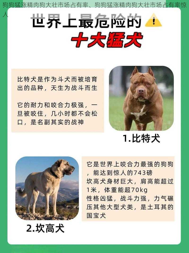 狗狗猛涨精肉狗大壮市场占有率、狗狗猛涨精肉狗大壮市场占有率惊人