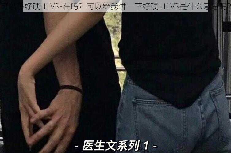 可以吗好硬H1V3-在吗？可以给我讲一下好硬 H1V3是什么意思吗？