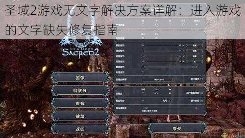 圣域2游戏无文字解决方案详解：进入游戏的文字缺失修复指南