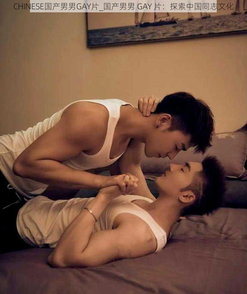 CHINESE国产男男GAY片_国产男男 GAY 片：探索中国同志文化