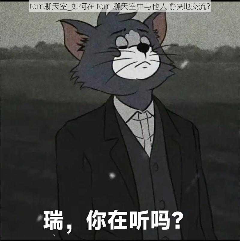 tom聊天室_如何在 tom 聊天室中与他人愉快地交流？