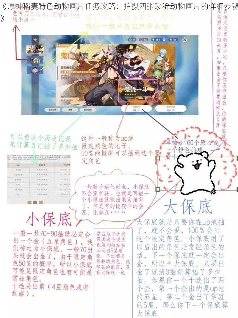 《原神稻妻特色动物画片任务攻略：拍摄四张珍稀动物画片的详细步骤》