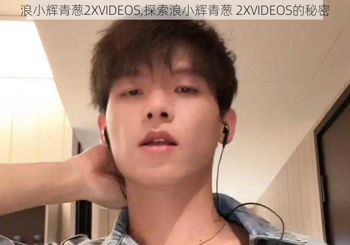 浪小辉青葱2XVIDEOS,探索浪小辉青葱 2XVIDEOS的秘密