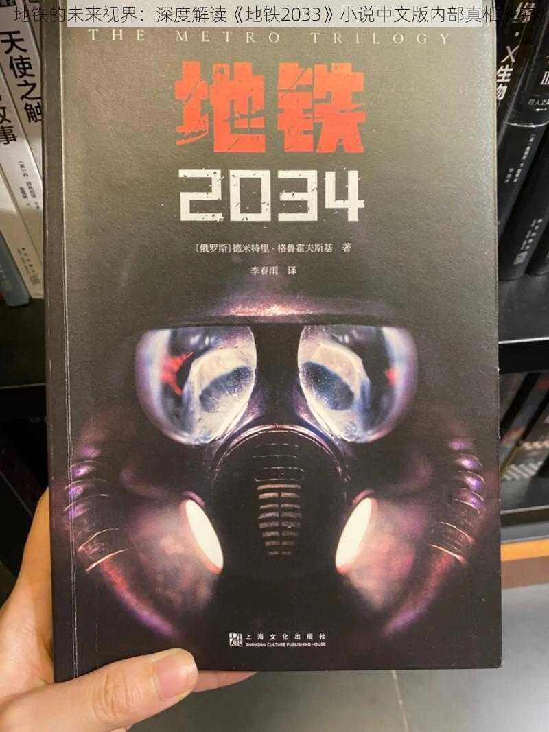 地铁的未来视界：深度解读《地铁2033》小说中文版内部真相探究