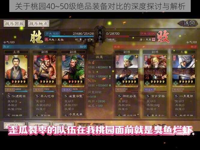 关于桃园40~50级绝品装备对比的深度探讨与解析